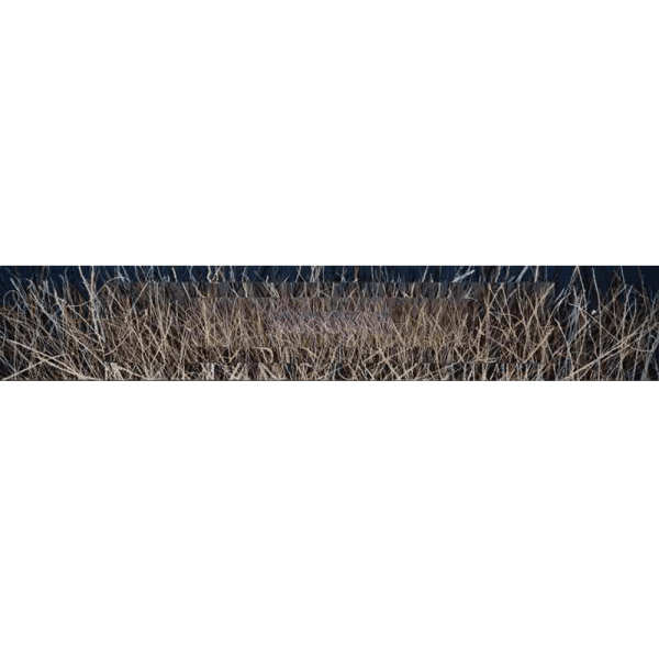 Art Piece 01