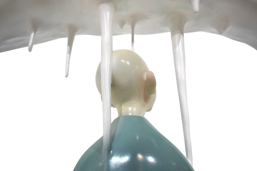 Canopy 华盖 - Image 6