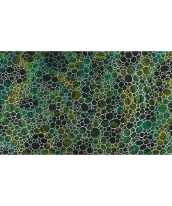 Infinite Circles 04112017