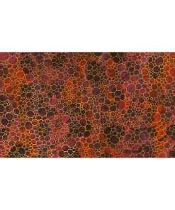 Infinite Circles 06112017