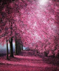 The Season of Love - Amativeness