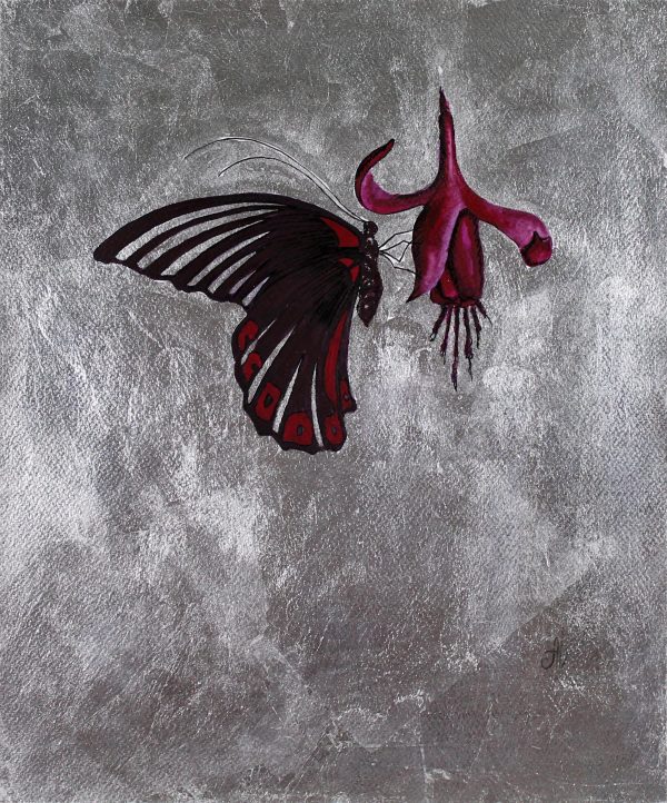 Butterflies Collection 4