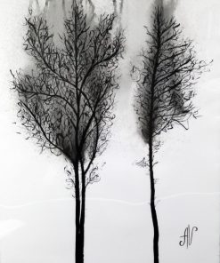 Foggy Forest