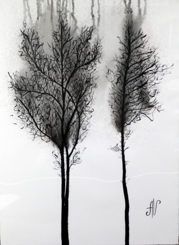 Foggy Forest