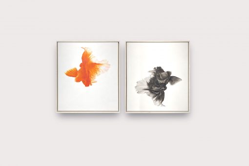 Instinct No.13 本能 13
