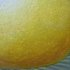 Lau Wai leng_Giant Lemon