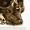 Huang Yulong_Gold Skull