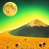 Shiro Utafusa_Mt. Fuji Sunflower Road With Full Moon