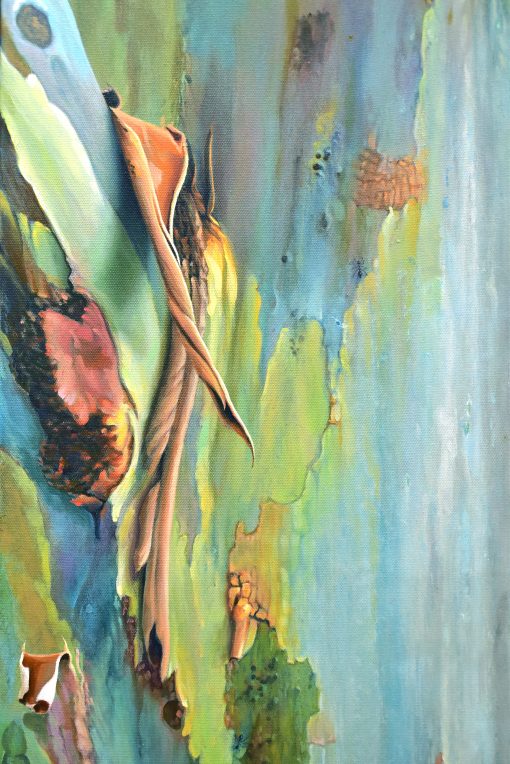 Eucalyptus V2 - Image 3