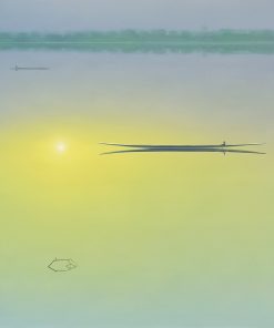 Sunshine River