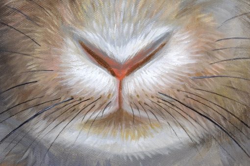 Hare In Hole 7 - Image 3