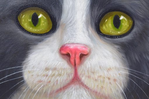 Peeking Cats 1 - Image 3