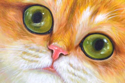 Peeking Cats 4 - Image 3