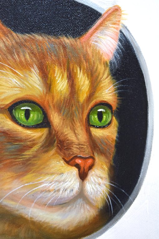 Peeking Cats 5 - Image 2