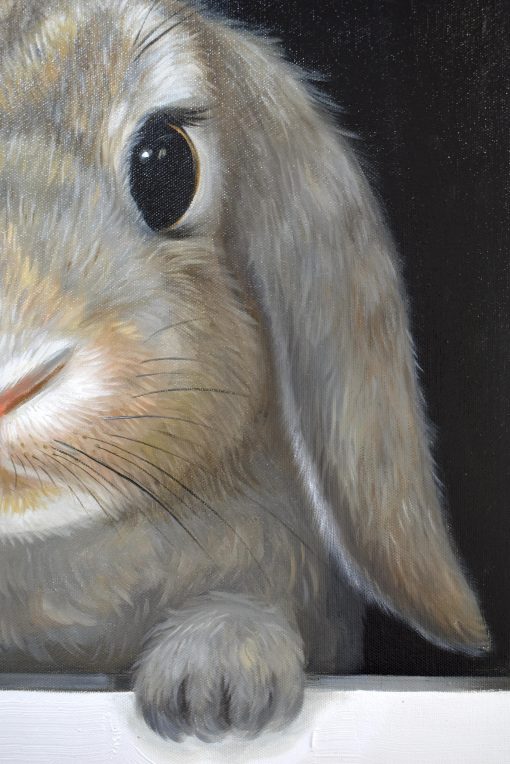 Hare In Hole 7 - Image 2