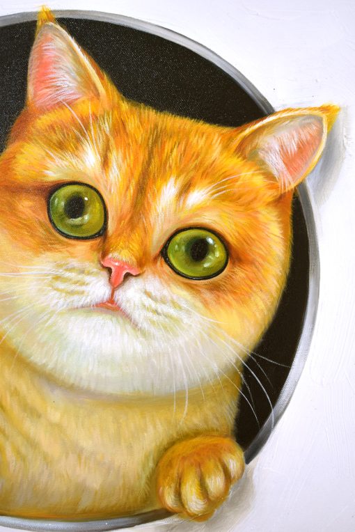 Peeking Cats 4 - Image 2