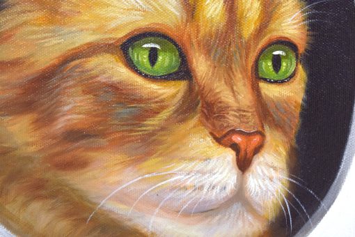 Peeking Cats 5 - Image 3