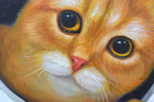 Peeking Cats 8 - Image 2