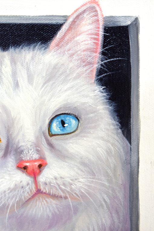 Peeking Cats 9 - Image 2