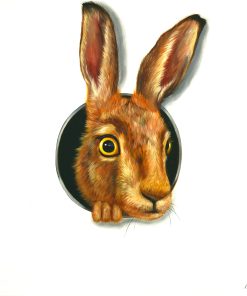 Hare in Hole 1