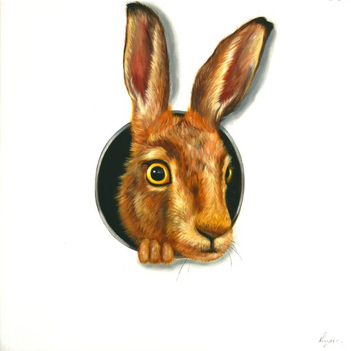 Hare in Hole 1