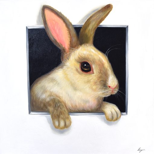 Hare In Hole 4