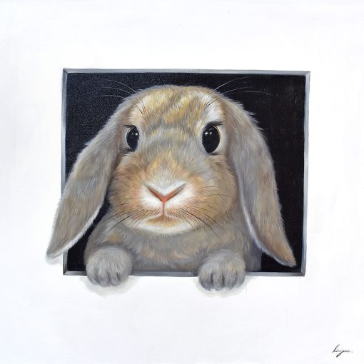 Hare In Hole 7