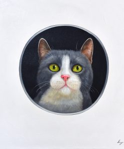 Peeking Cats 1