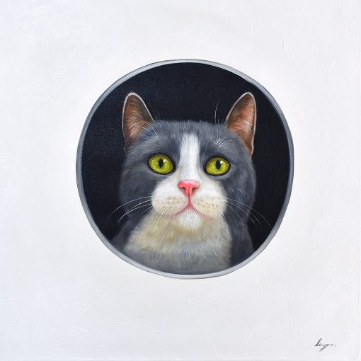 Peeking Cats 1