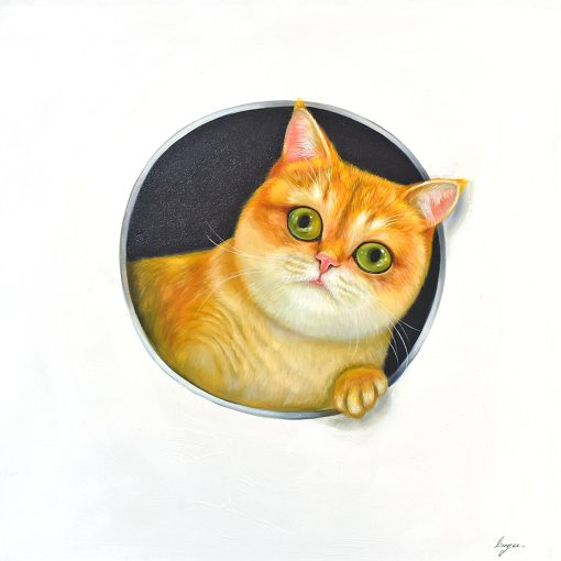 Peeking Cats 4