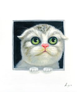 Peeking Cats 6