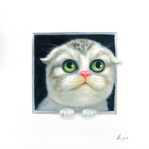 Peeking Cats 6