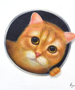 Peeking Cats 8