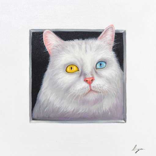 Peeking Cats 9