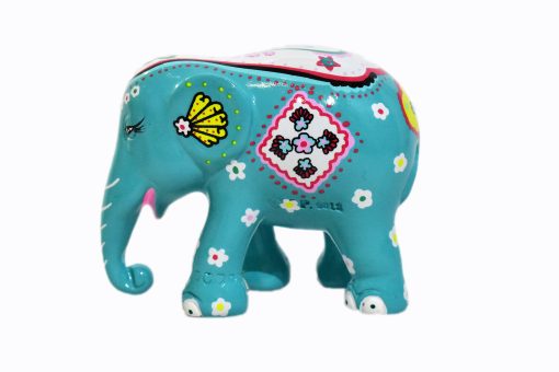 Multipack (Exotique) - Image 2