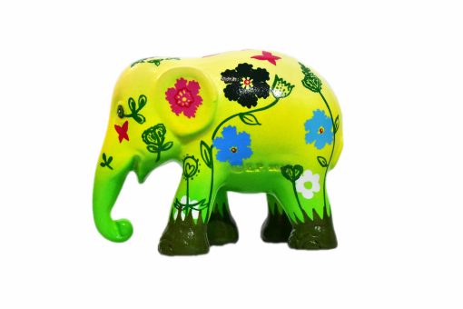 Multipack (Exotique) - Image 4