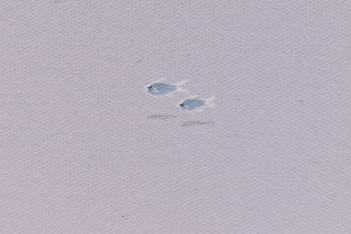Dreamscape V60 - Image 6