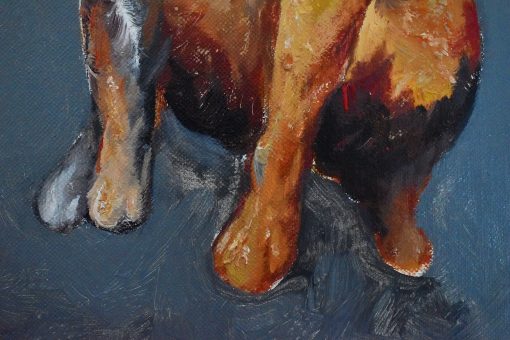 Looking Around - Dog - Image 4