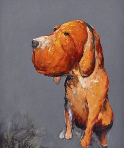 Looking Around - Dog
