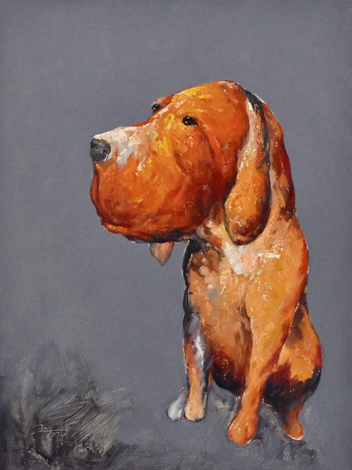 Looking Around - Dog