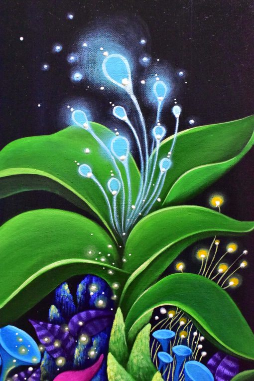 Fireflies Under The Light of Stars - Image 3