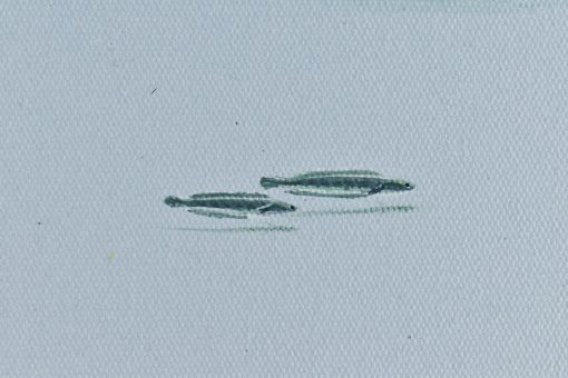 The Cloud - Image 5