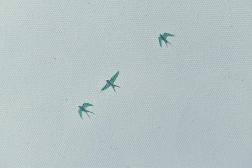 The Cloud - Image 6