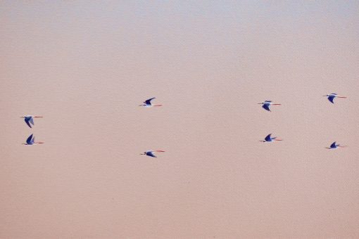 The Sun Reflection #2 - Image 5