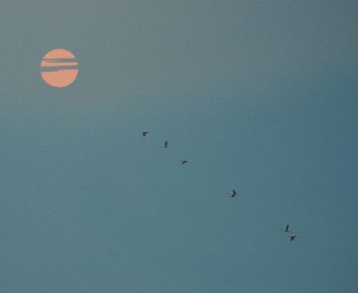 Dreamscape V69 - Image 3