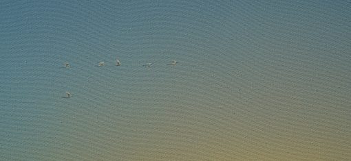 Dreamscape V70 - Image 3
