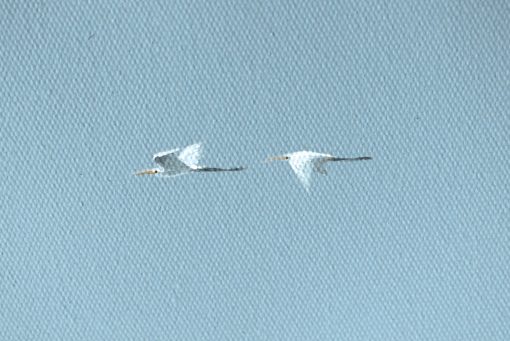 Reflection (Split Level Over-Under Water) - Image 5