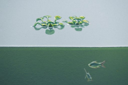 Reflection [Split Level Over-Under Water] - Image 2