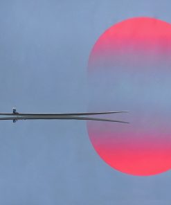 The Sun Reflection #3