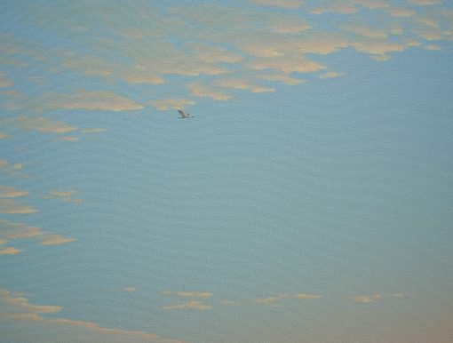 Dreamscape V84 - Image 3